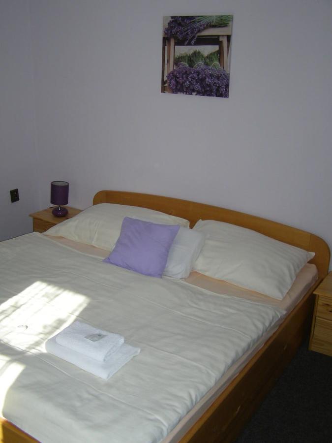 Hotel Garni Belveder 赫任斯科 外观 照片